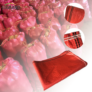 Chile Market Plastic Mesh Potato Bags Onion Bags PP Net Bag