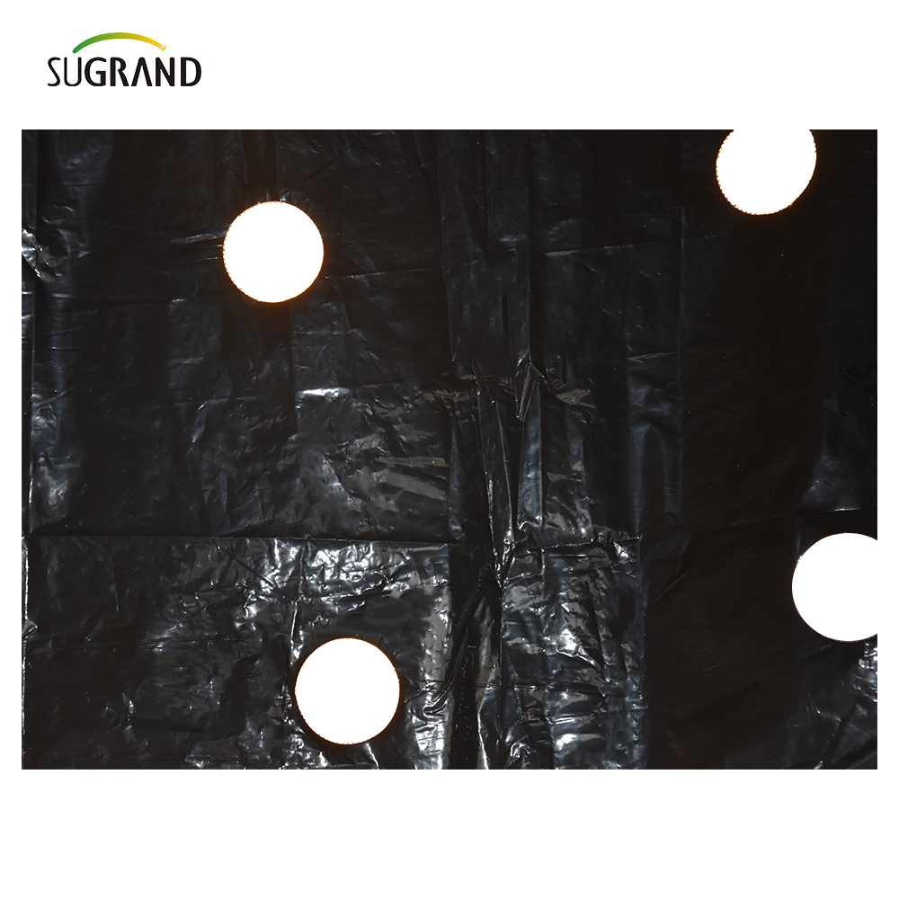 Πλαστική διάτρηση φιλμ UV Mulch φιλμ για λαχανικά 