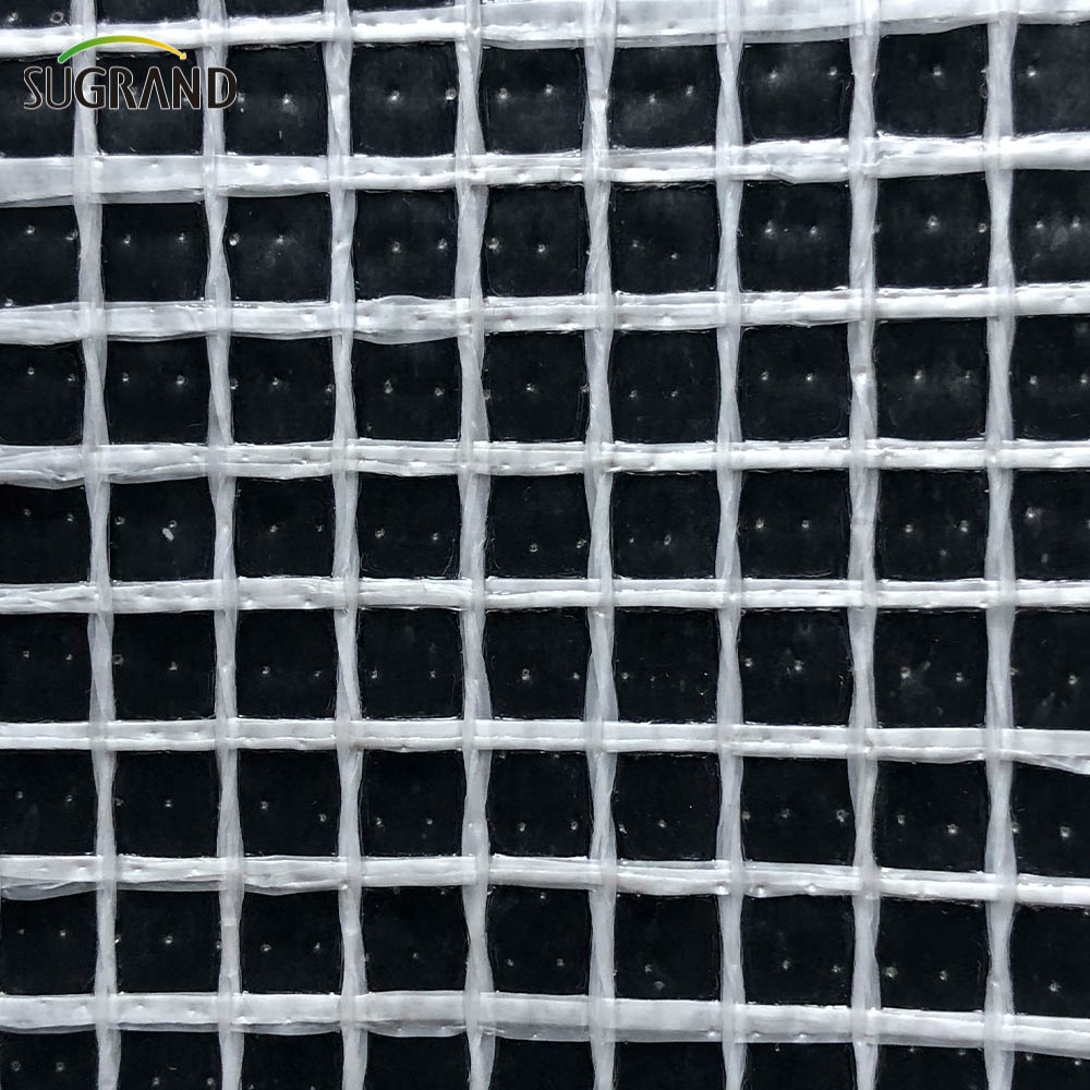 Λευκό PVC Fireproof Sheet Sheet Shaffolding Mesh Pe Tarpaulin