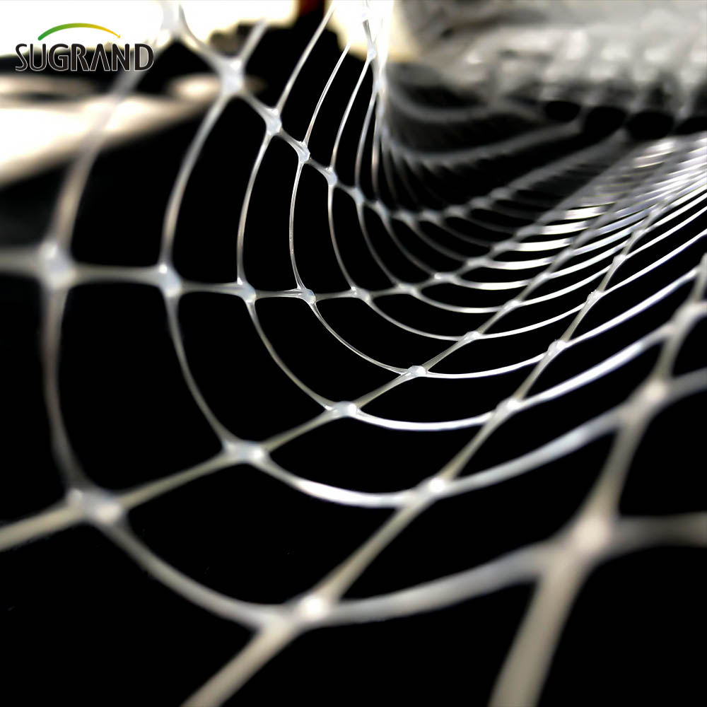 Λευκό 8*8mm εξωθημένο αντι-πουλί δίχτυ για προμηθευτές πτηνών πουλιών Fruits