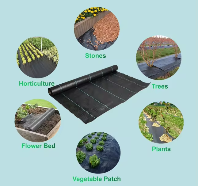 χονδρικής πώλησης ζιζανίων