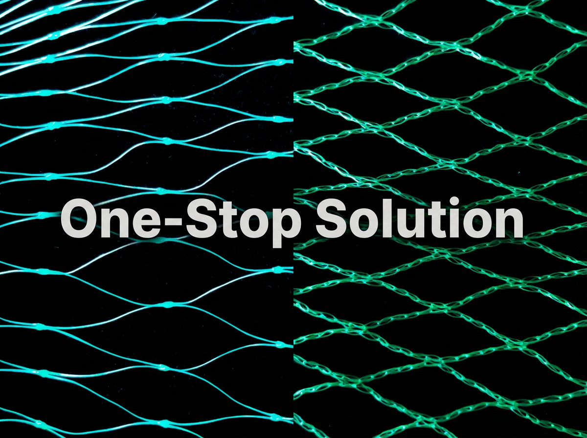 πλέγμα πουλιών