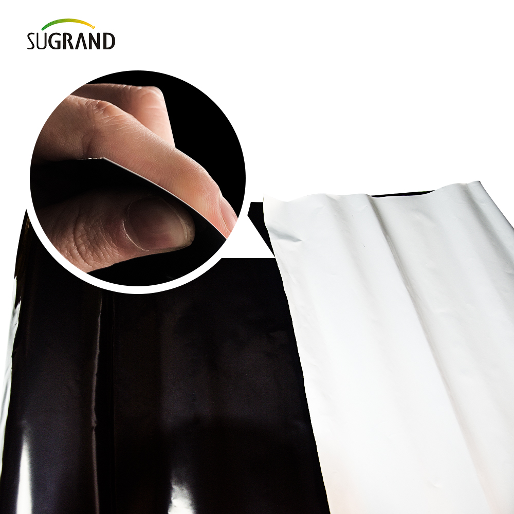 Mulch ταινία Γεωργία Πλαστικό 