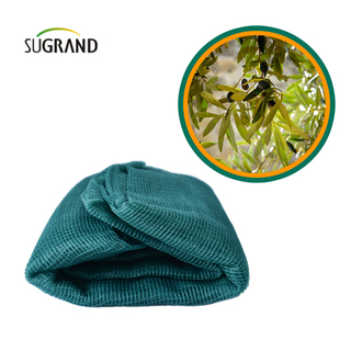 Δίχτυ συγκομιδής συλλεκτών φρούτων Factory made σε σκούρο πράσινο τριγωνικό δίχτυ ελιάς