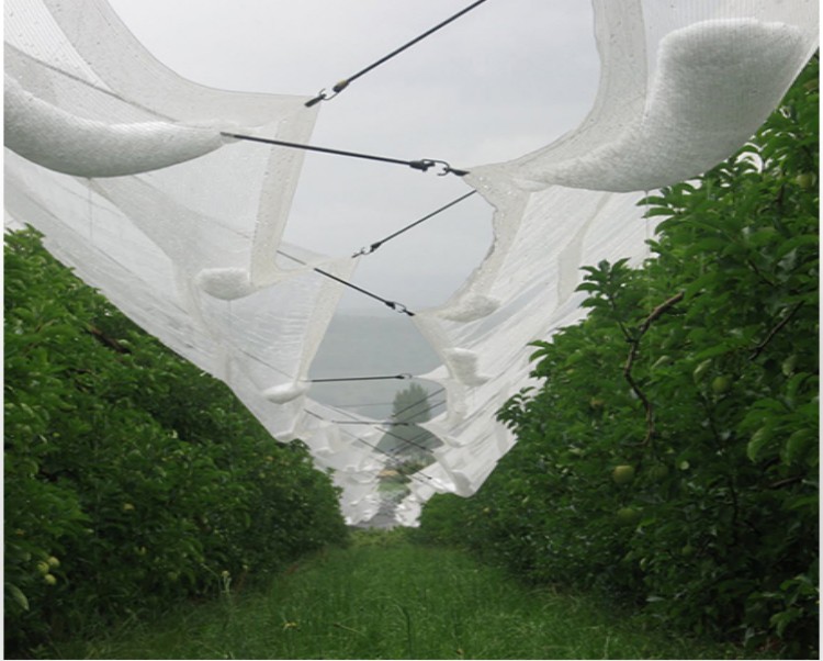 Προστασία από χαλάζι δίχτυ