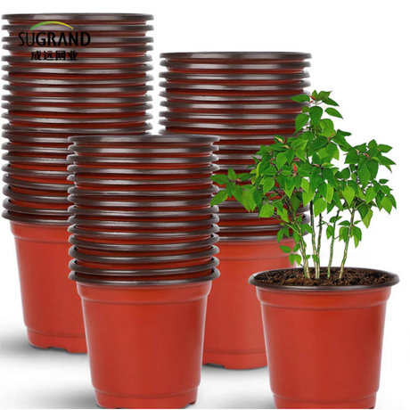 seedling trays manufacturer.png