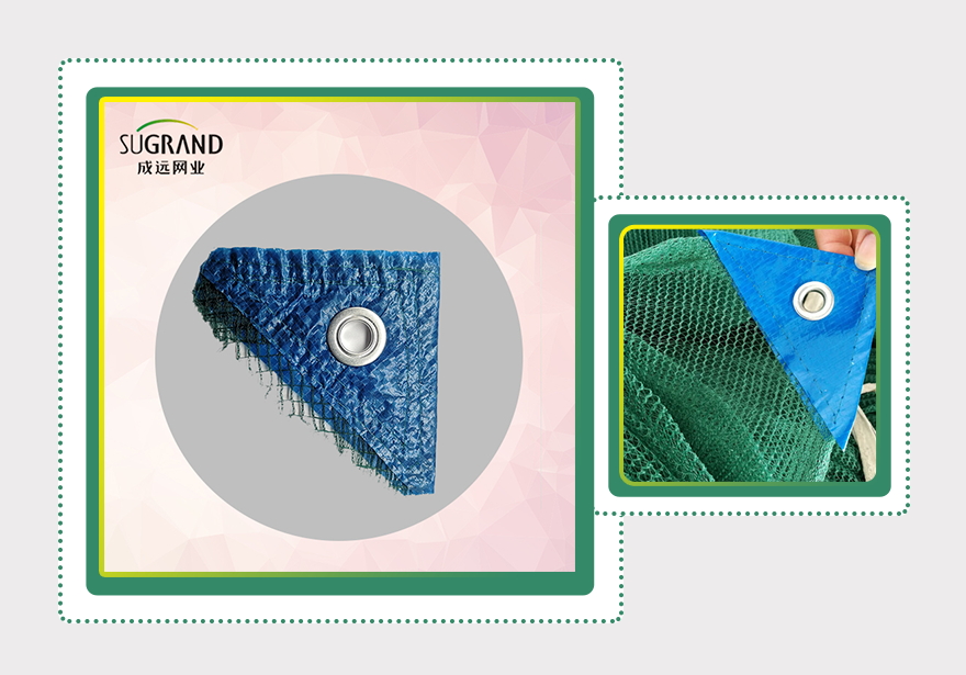 δίχτυ ελιάς-2 (1)