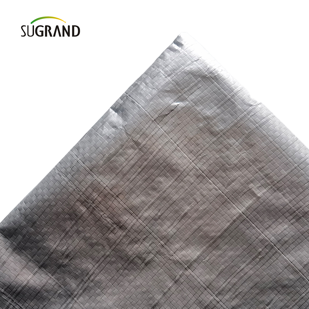 Εργοστασιακό άμεσο χονδρικό λευκό πλαστικό φύλλο tarpaulin pe uv