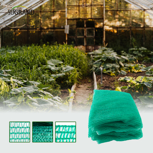 Πράσινο/Μαύρο τρεις βελόνες ταινίας ταινίας σκιά δίχτυ