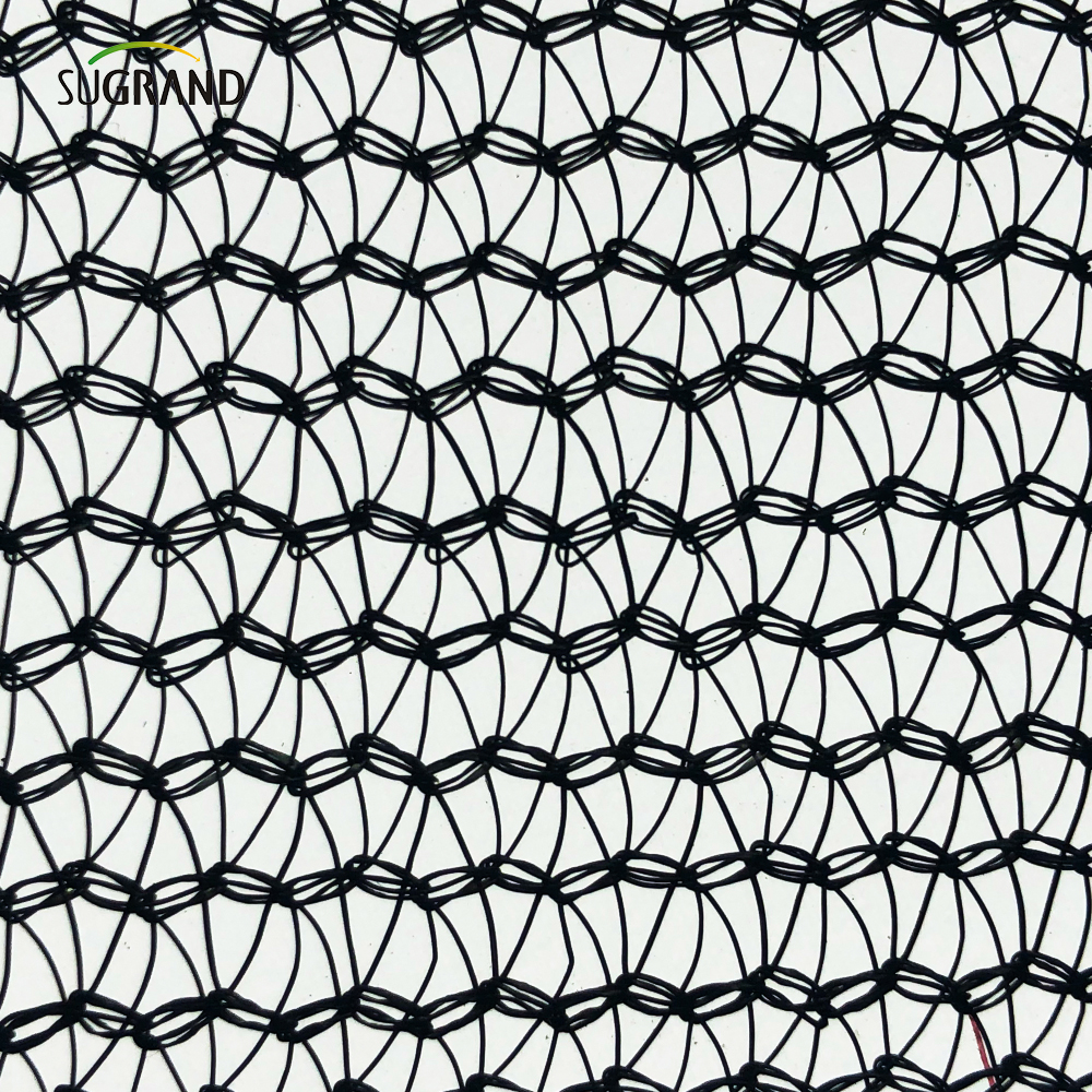 Προστασία από την πτώση καθαρή κατασκευή ικριώματος δίχτυ 