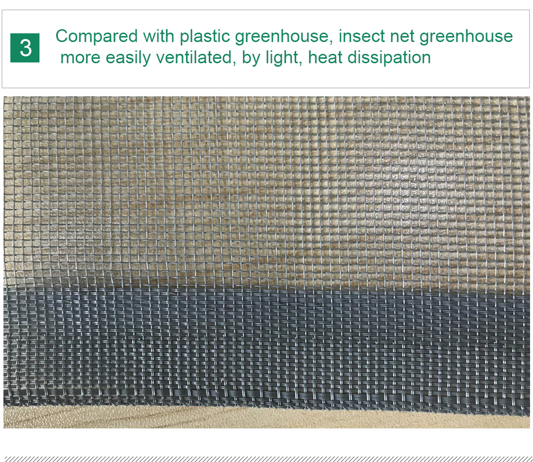 δίχτυ εντόμων7