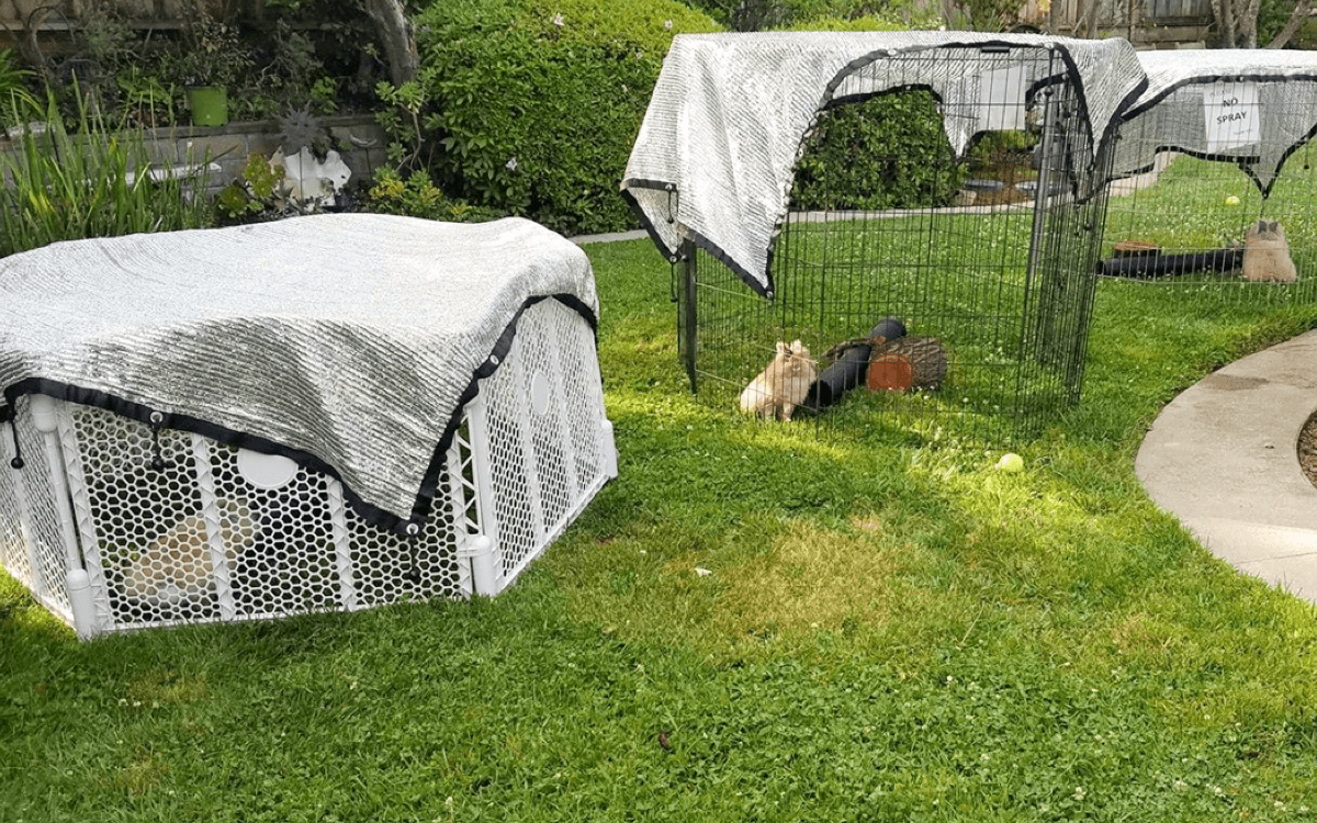 Πώς να μετρήσετε για σκιά πανιού