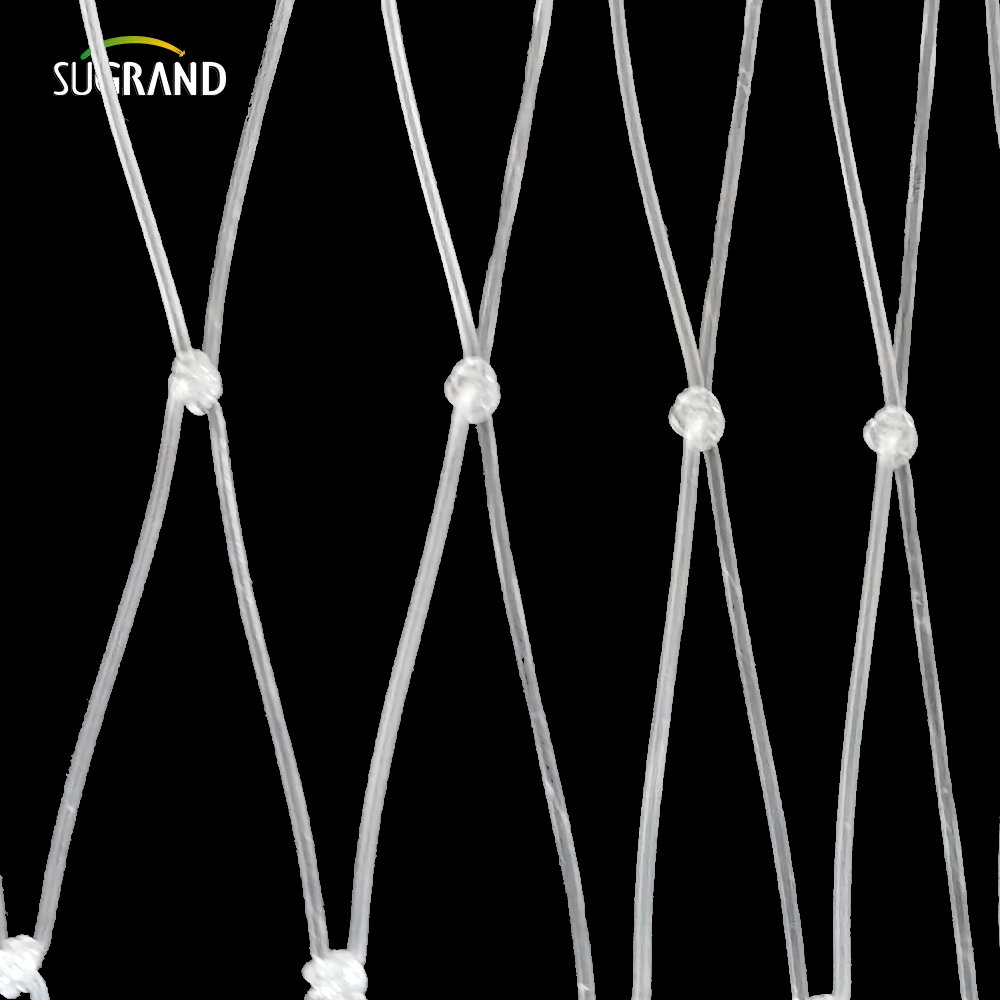 15*15cm Διαφανές δίχτυ από νάιλον για την αγορά του Περού