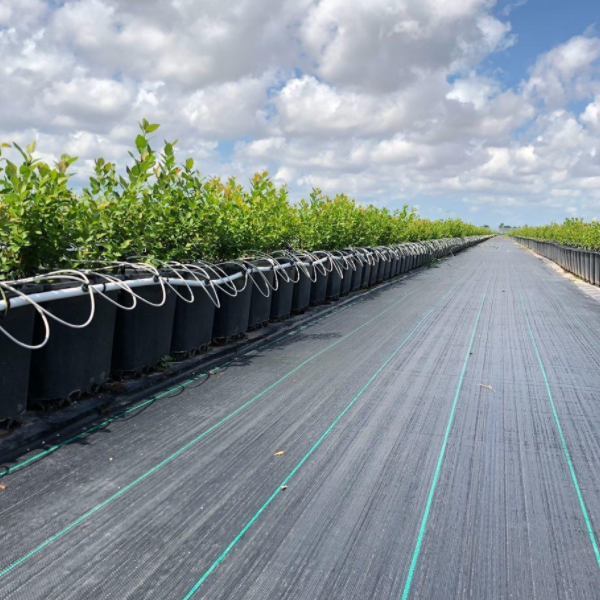 Βιοαποικοδομήσιμη κάλυψη εδάφους: Το μέλλον της οικολογικής διαμόρφωσης πάρκων