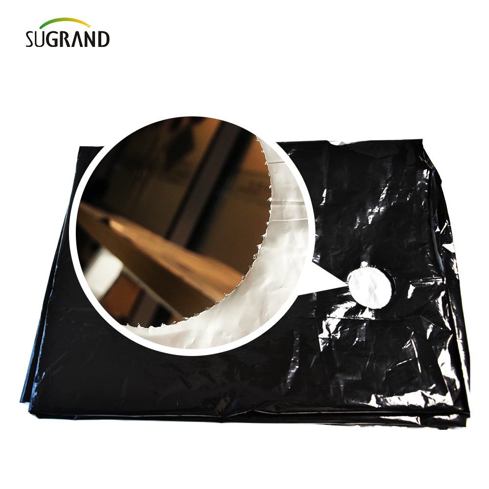 Πλαστική διάτρηση φιλμ UV Mulch φιλμ για λαχανικά 