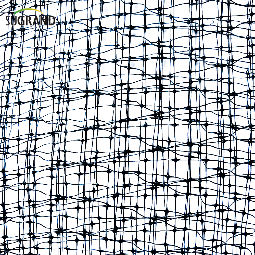 40g μαύρο 15x15 ή 16x16 βαρέως τύπος φρούτων δένδρου δέντρου δέντρων πουλιών