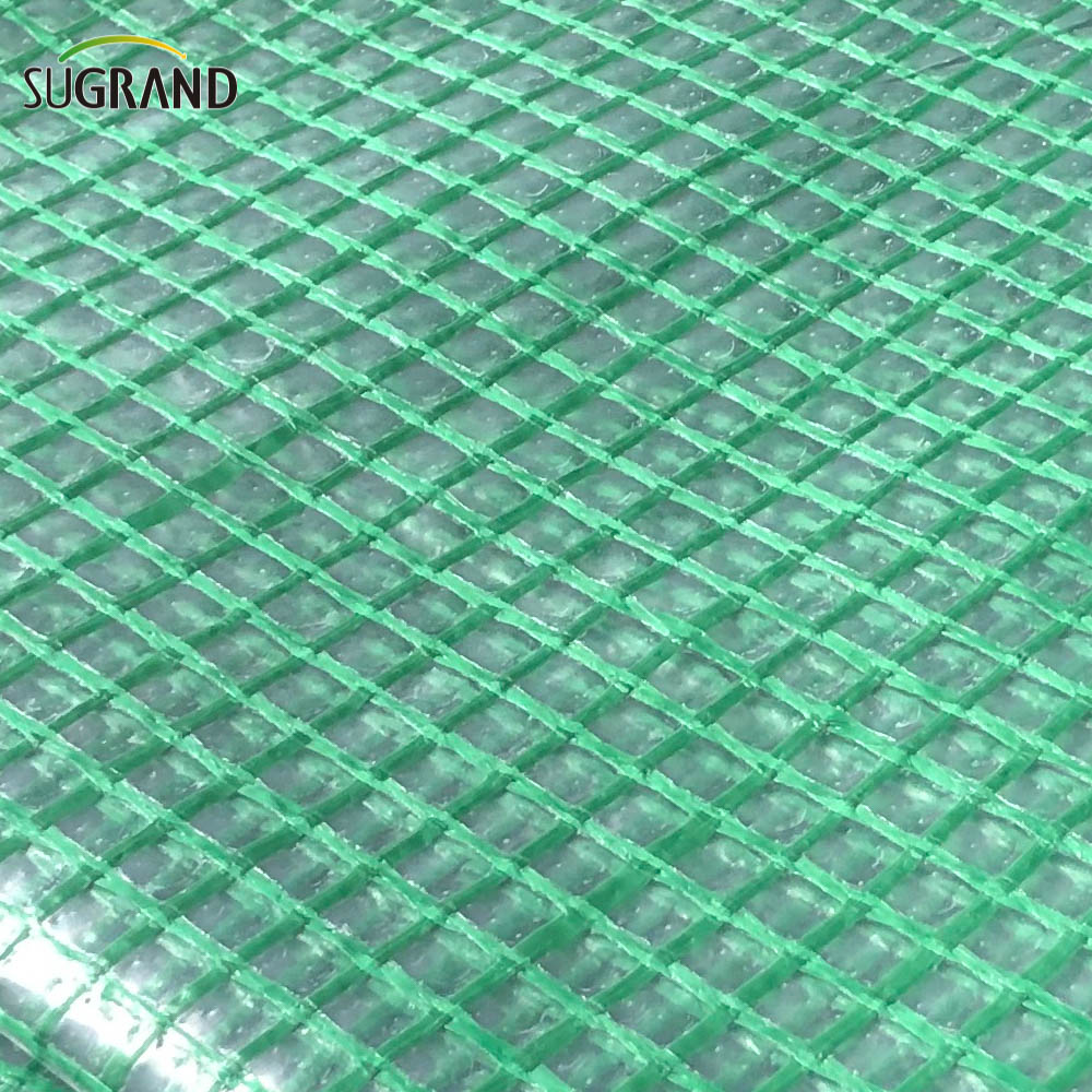 Κατασκευή Tarpaulin Ασφάλεια πλέγμα καθαρό πλέγμα pe tarpaulin