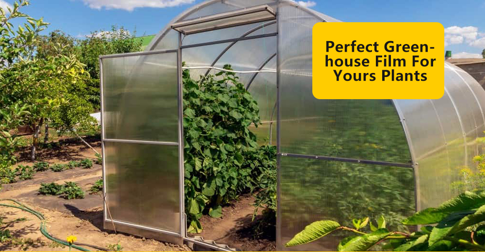 Ταινία θερμοκηπίου PE