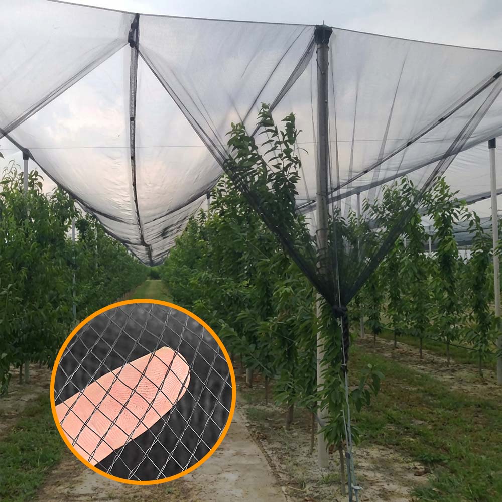 SUGRAND Αντιχαλαζικό δίχτυ για οπωρώνες αγροκτημάτων