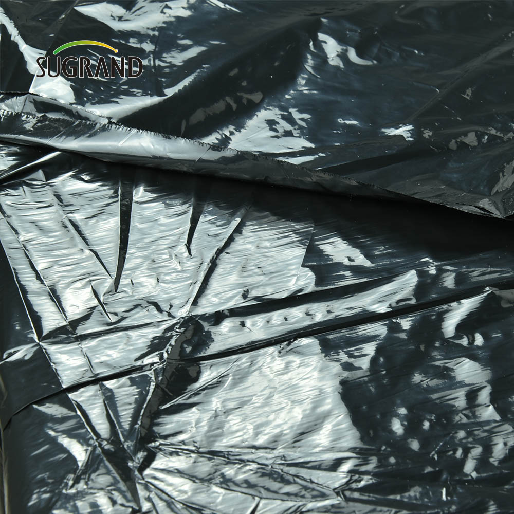 Φτηνές εργοστασιακές τιμές μαύρο πλαστικό πλαστικό βιοδιασπώμενο φιλμ UV Mulch για γεωργία