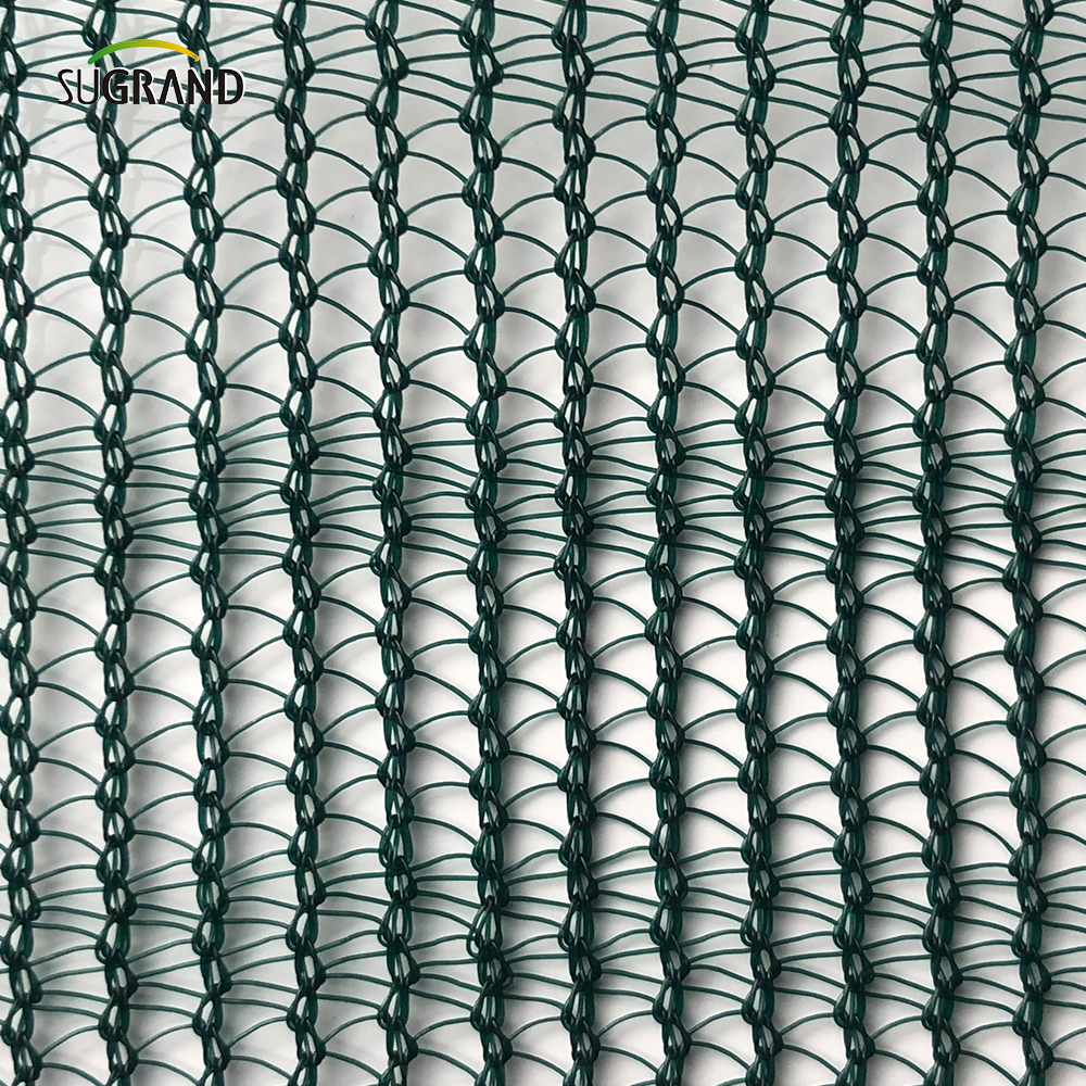 ελαιόδεταρο