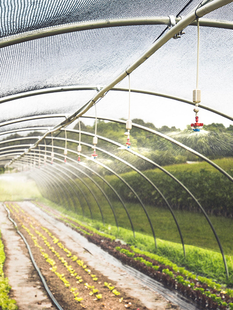 Δίχτυ σκίασης