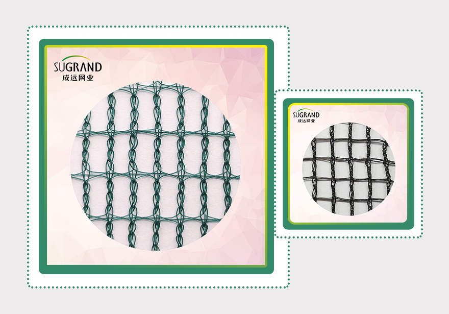 δίχτυ ελιάς-2 (2)