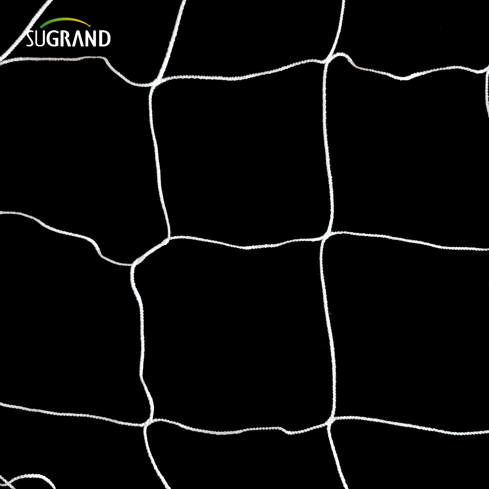 Χονδρική λευκή νάιλον φυτά στήριξη πόλης πόλης 5x15 πόδια κήπο 6 'για αναρρίχηση