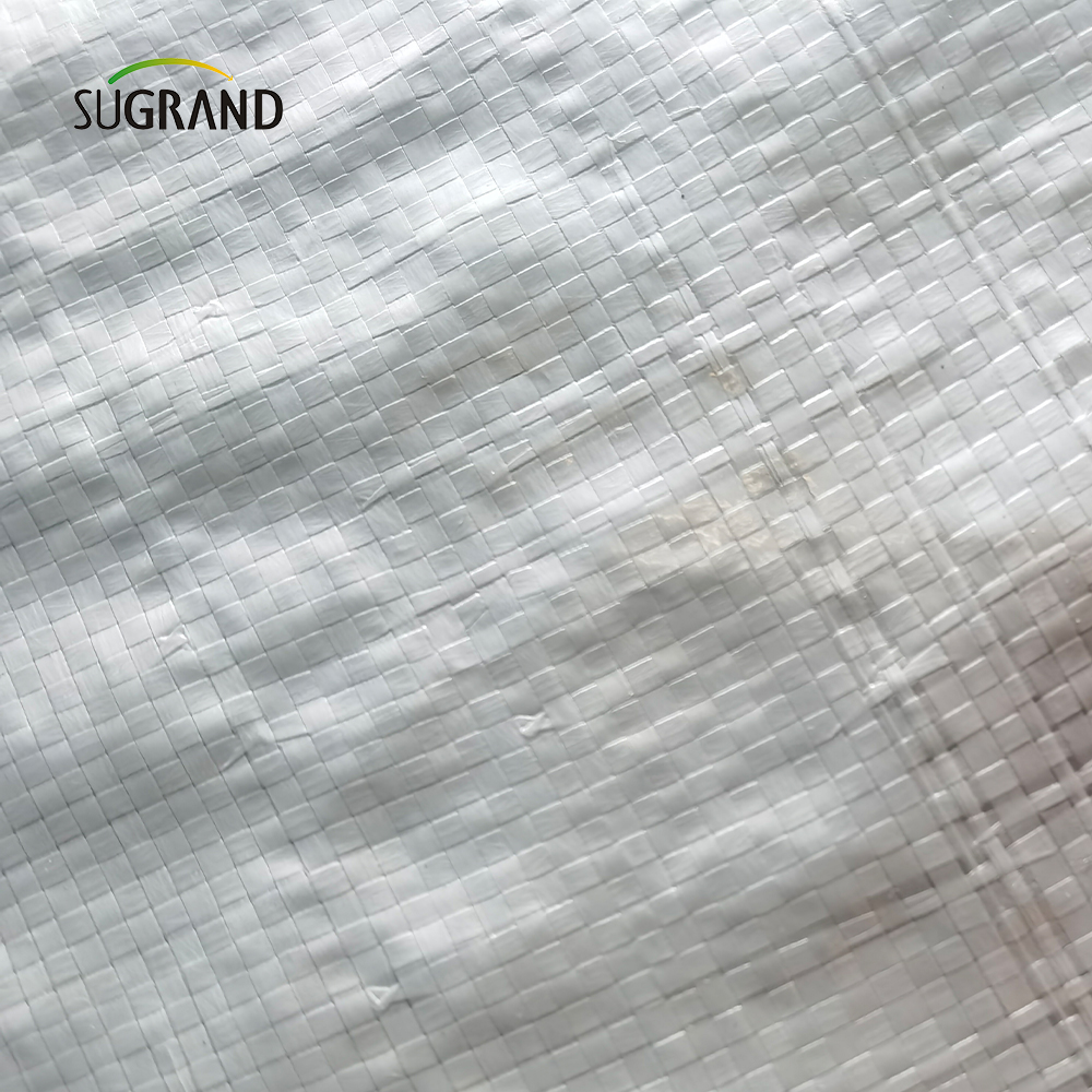 Εργοστασιακό άμεσο χονδρικό λευκό πλαστικό φύλλο tarpaulin pe uv