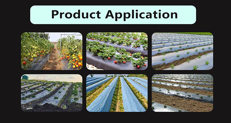 Γεωργική ταινία