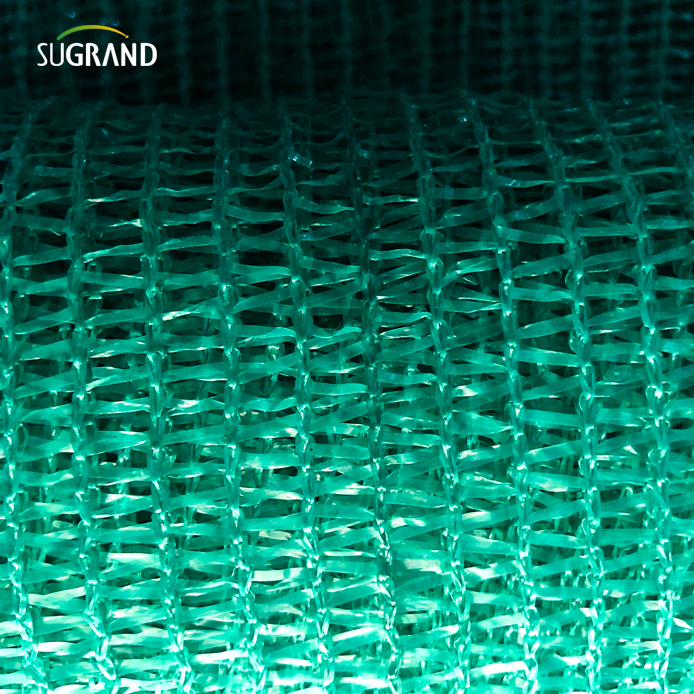 Πράσινο/Μαύρο τρεις βελόνες ταινίας ταινίας σκιά δίχτυ