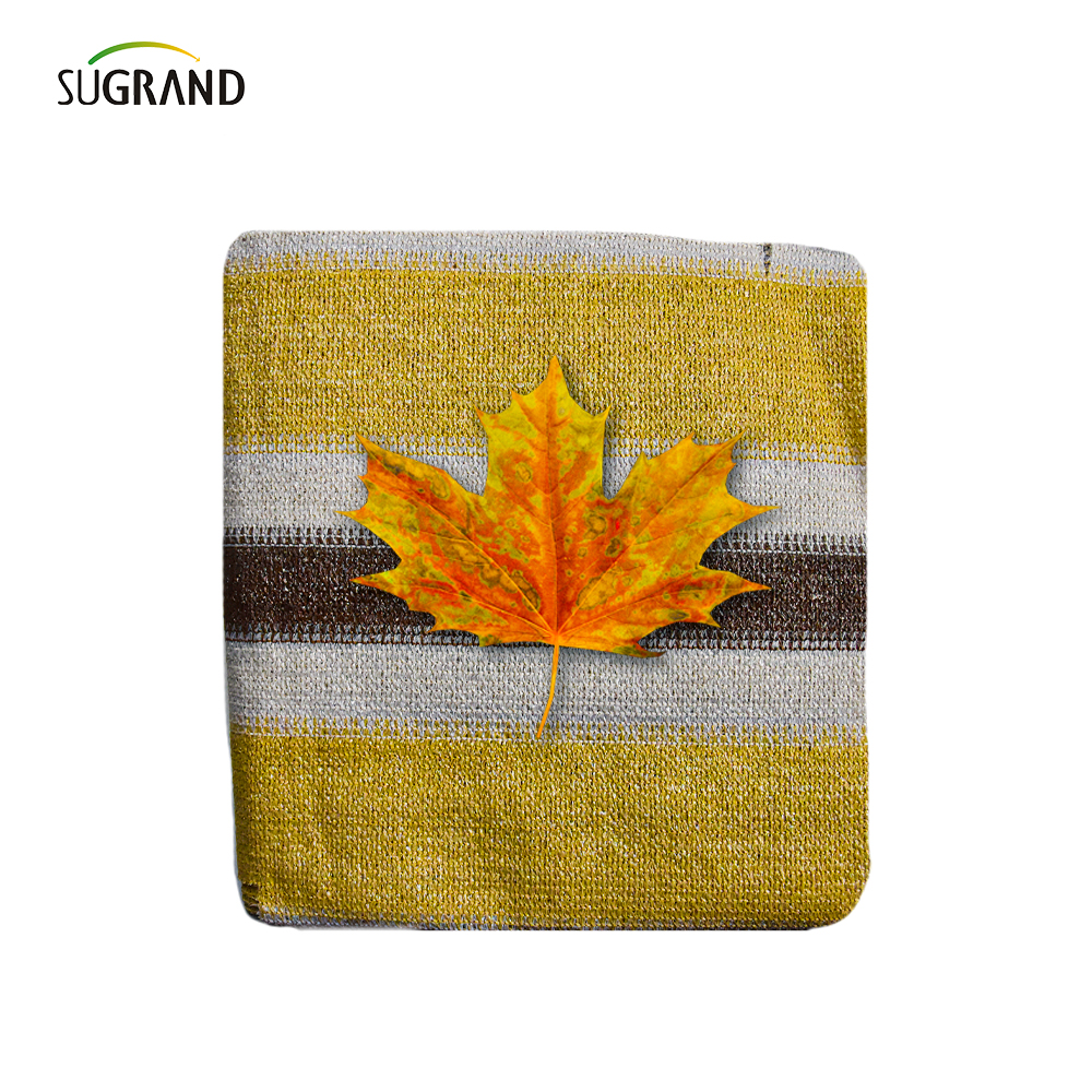 Πάχυνση 6 βελόνες επίπεδη μπαλκόνι σκιά καθαρή ιδιωτική ζωή καθαρό φράχτη