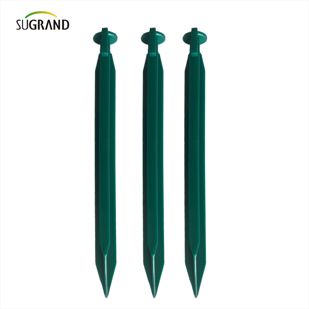 Κίνα εργοστασιακή ποιότητα πλαστικό νυχιών νυχιών 