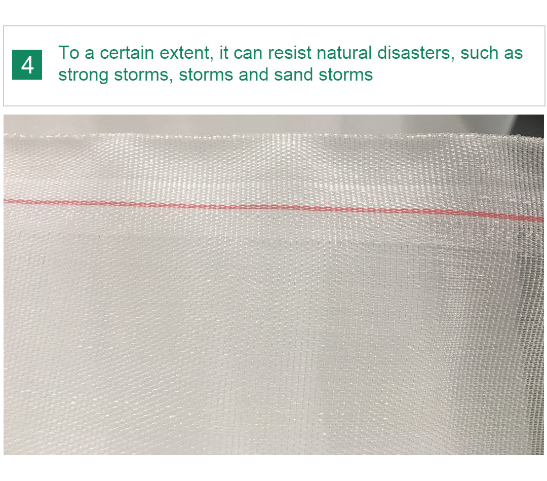 δίχτυ εντόμων8