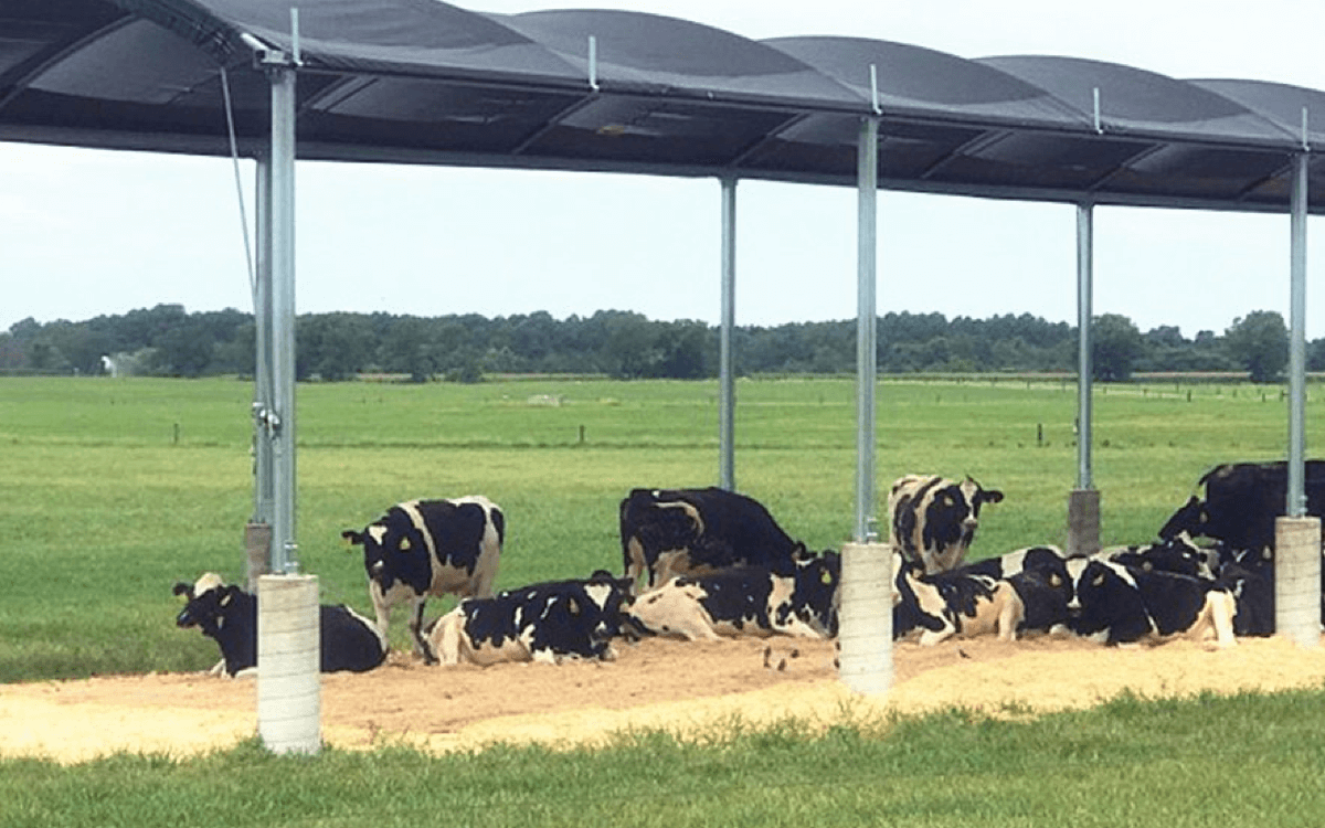 Είναι η σκιά που είναι αδιάβροχα