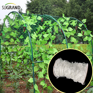Nylon White Trellis καθαρά φυτά αναρρίχησης που υποστηρίζουν το δίχτυ