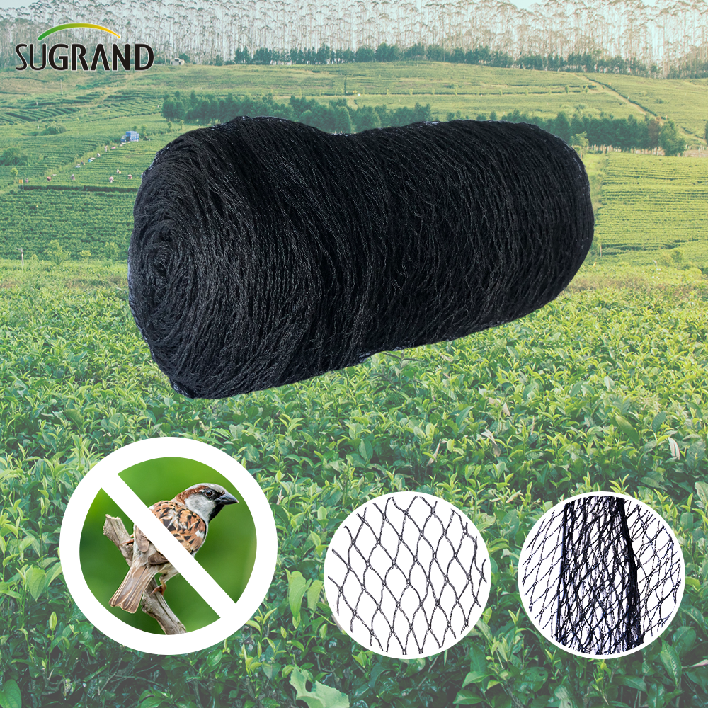 100% HDPE Agriculture Bird Net Net 