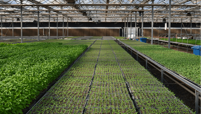 τάπες βύσματος παιδικού σταθμού