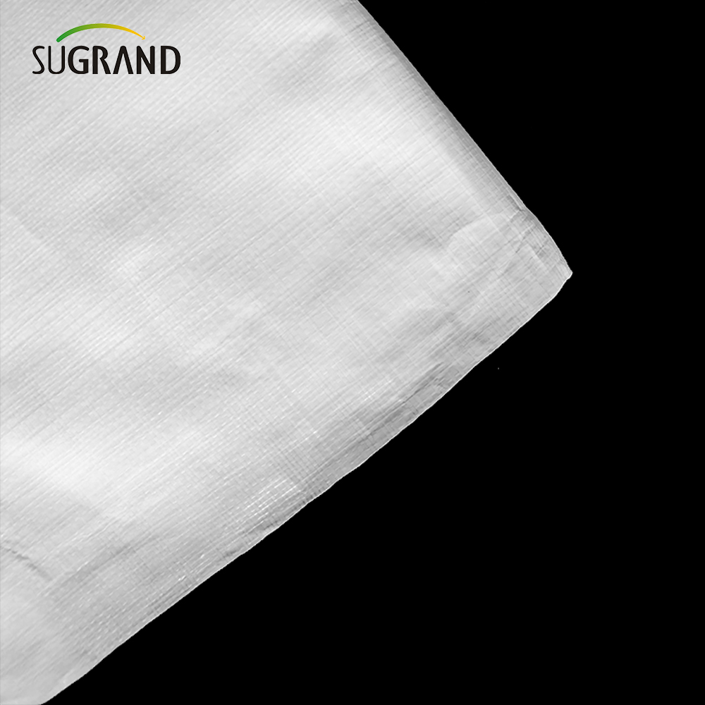 PE White Tarpaulin σε ρολό για γεωργική βιομηχανική υπαίθρια καλύμματα