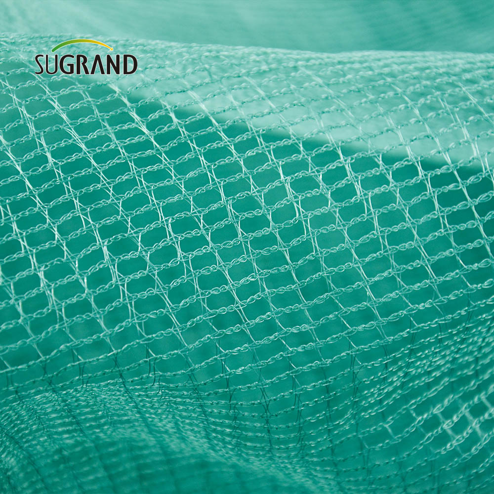 Δίκτυο συλλογής ελιάς 5x10m για φρούτα συγκομιδής ελιάς στην Ιταλία