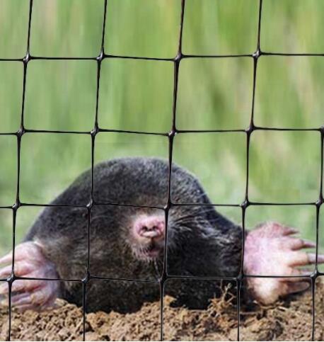 Αντιπαράθεση