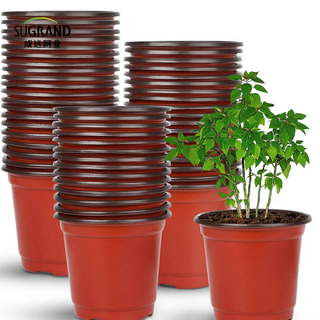 Garden Seed Starter Αναπτύξτε δίσκους φυτά φυτώρια φυτώρια