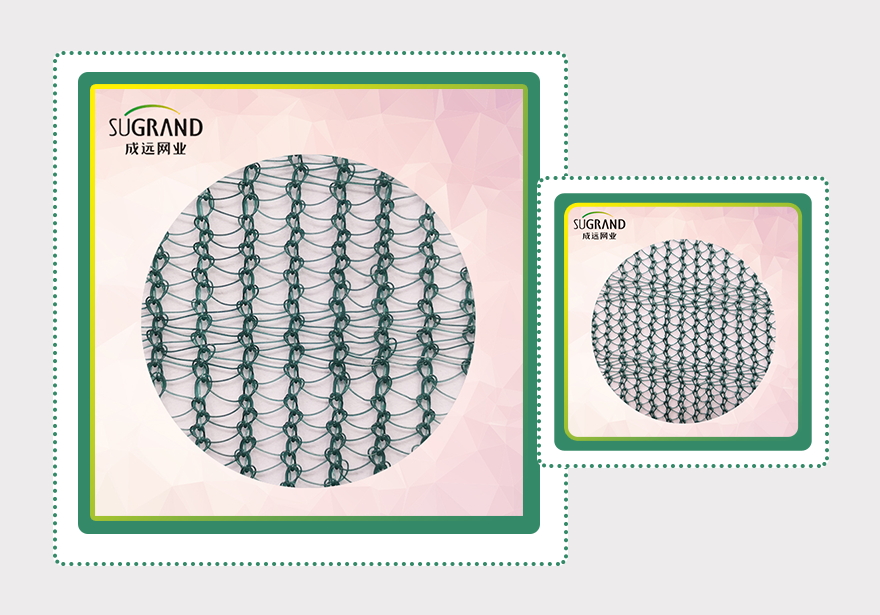 δίχτυ ελιάς-2 (3)