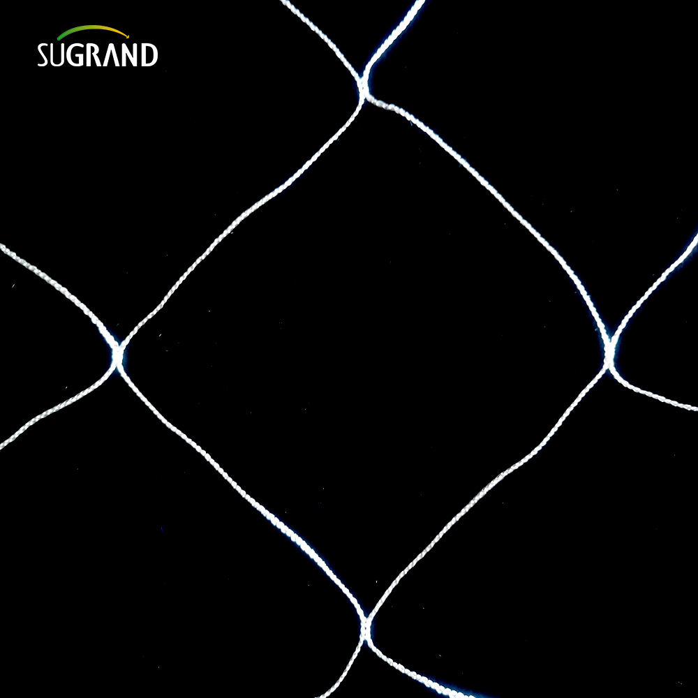 Χονδρική λευκή νάιλον φυτά στήριξη πόλης πόλης 5x15 πόδια κήπο 6 'για αναρρίχηση