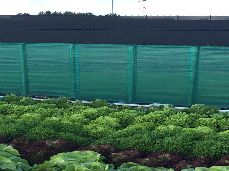 Καινοτόμες χρήσεις του δακτύλου με αιολική ενέργεια σε κατοικημένες περιοχές