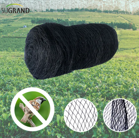 Αντιπαράθεση