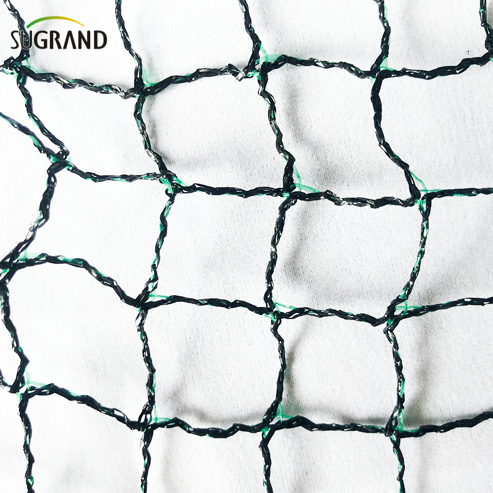 Πλέγμα πουλιών για φρούτα μαύρα και πράσινα περιστέρια πλέγμα