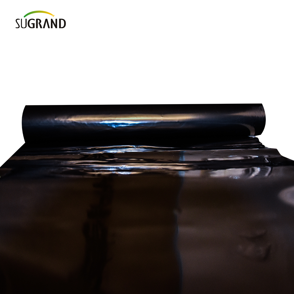 PE Garden Weed Mat Agriculture Plastic Mulch Film