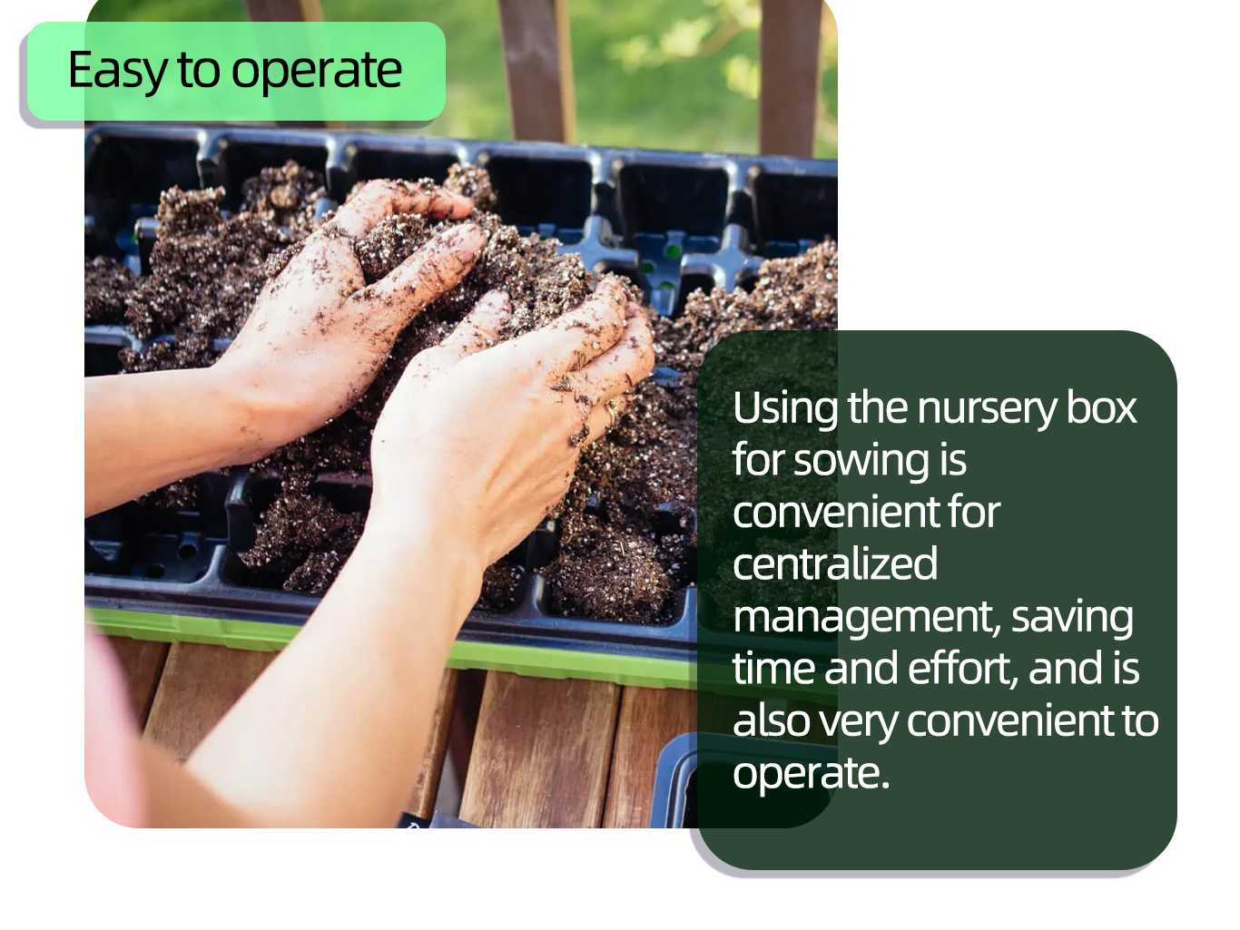 Μαύρη γλάστρα φυτωρίου