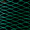 Green Bird Net 4x30m Net Bird για προμηθευτές αγοράς της Ταϊλάνδης